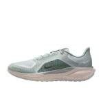 נעלי ריצות נייק | Nike Pegasus 41 GORE-TEX Waterproof Light Pumice/Metallic Silver