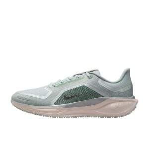נעלי ריצות נייק | Nike Pegasus 41 GORE-TEX Waterproof Light Pumice/Metallic Silver