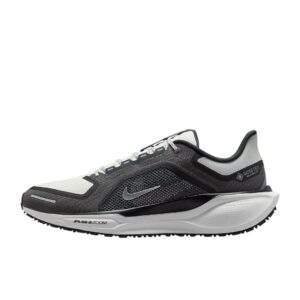 נעלי ריצות נייק | Nike Pegasus 41 GORE-TEX Black/Summit White