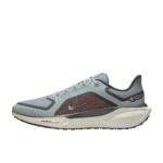 נעלי ריצות נייק | Nike Pegasus 41 GORE-TEX Light Pumice/Ashen Slate