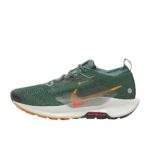 נעלי ריצות נייק | Nike Pegasus Trail 5 GORE-TEX Clay Green