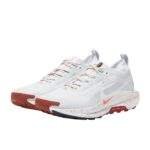 נעלי ריצות נייק | Nike Pegasus Trail 5 GORE-TEX Pure Platinum/White-Football Grey