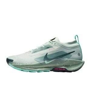 נעלי ריצות נייק | Nike Pegasus Trail 5 GORE-TEX Waterproof Light Silver/Clay Green