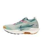 נעלי ריצות נייק | Nike Pegasus Trail 5 GORE-TEX Jade Horizon/Armory Navy