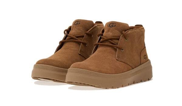 נעלי האג גברים | UGG Men’s Burleigh Chukka Chestnut